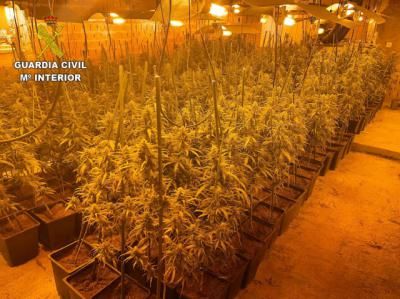 ¡El olor fue clave! Desarticulan un laboratorio de marihuana en Santa Olalla