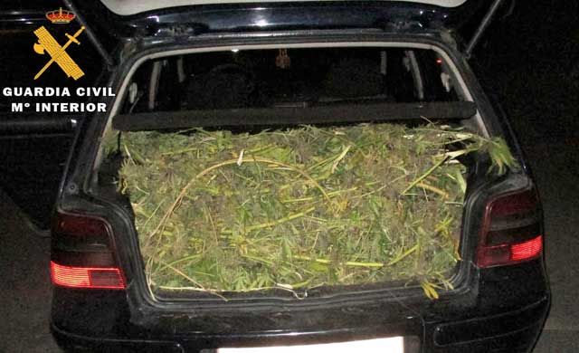 La Guardia Civil detiene a cinco personas con 20 kilos de marihuana