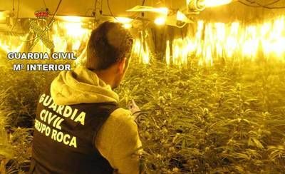 La Guardia Civil detiene a una persona por cultivar marihuana en Guadalajara