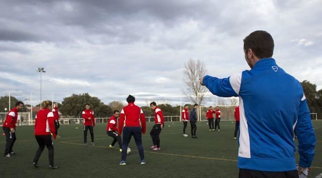 Buenas noticias para los entrenadores tras la decisión federativa.