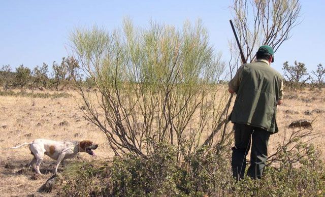 Fallece un cazador en Maqueda tras dispararse de forma accidental