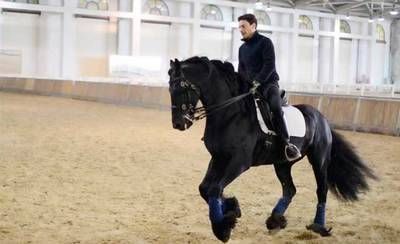 Samuel Sánchez, un talaverano en el mayor centro ecuestre del mundo