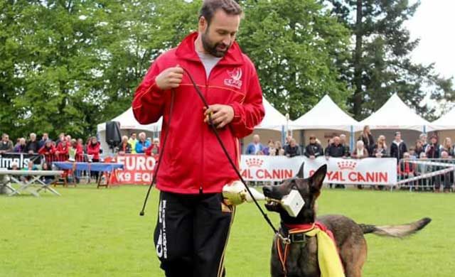 El talaverano Francisco José Romo y su perro Ankor participan en el Mundial de Pastor Belga