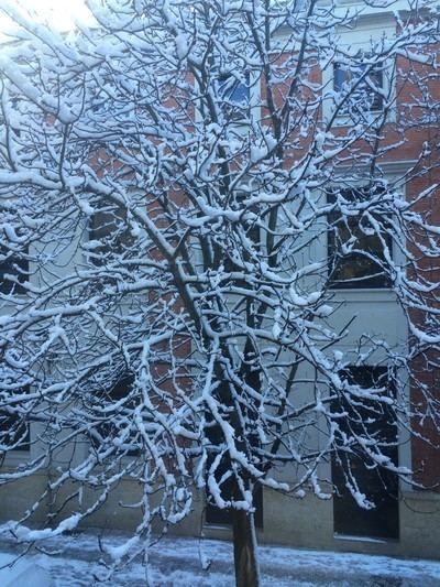 Algunos puntos de Castilla-La Mancha, en alerta amarilla por riesgo de nevadas