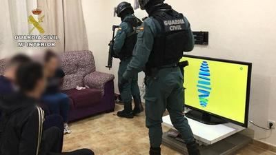 VÍDEO| Operación Brujo, en la provincia de Toledo: 10 detenidos y 9.000 plantas de marihuana incautadas