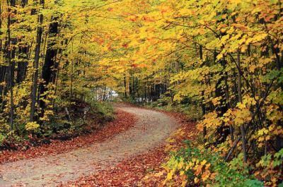 Mañana comenzará el otoño a las 21:21 horas