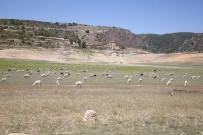 La embalses de cabecera del Tajo, Entrepeñas y Buendía, se siguen secando