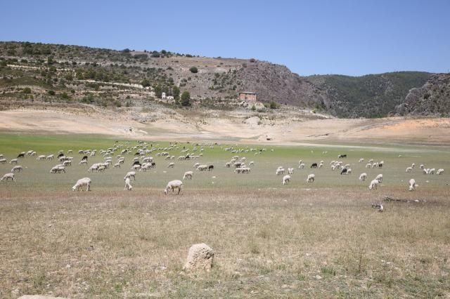 Embalse de Entrepeñas