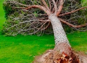 La alcaldesa pone en valor la coordinación para abordar los efectos del temporal