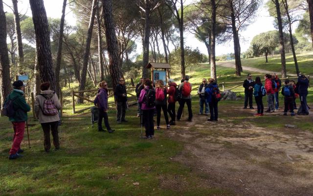 Las cinco propuestas de la Diputación Toledo para aumentar visitas en la provincia