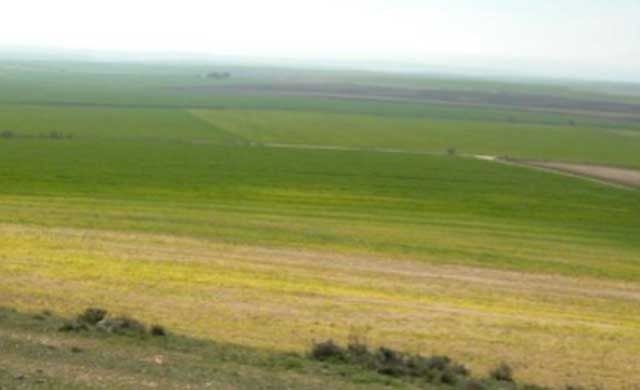 CLM declara Zonas Especiales de Conservación a las Llanuras de Oropesa,  Lagartera y Calera y Chozas | La Voz del Tajo