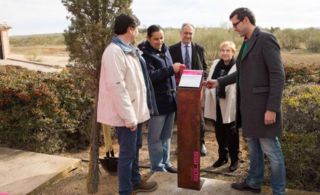 La Fundación Soliss continúa la replantación del Olmo en CLM