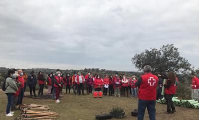 Hasta 500 plantas ha colocado la Cruz Roja junto con la Diputación en ‘El Borril’