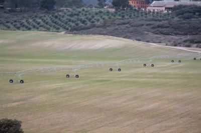 La región abona este lunes el anticipo de la PAC para agricultores y ganaderos