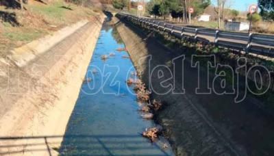 La CHT reducirá a menos de la mitad el agua disponible para los regantes del Alberche