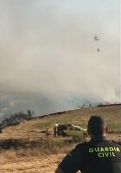 Vídeo: Rescatan a ocho caballos y dos perros de las llamas 