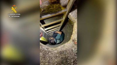 El emotivo rescate a un perro que había caído a un pozo