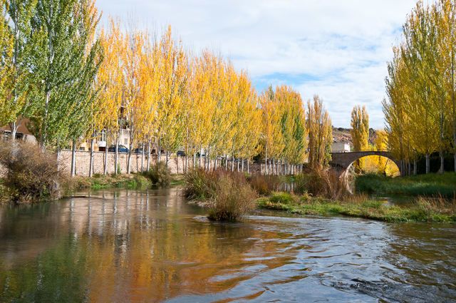 El río Tajo a su paso por Trillo 