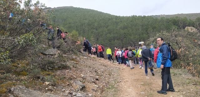 Participantes en la ruta de senderismo | Ayto. Talavera | Twitter 