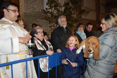 Las mascotas reciben la bendición de San Antón en Talavera de la Reina