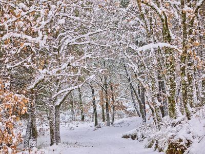 Si te gusta disfrutar en la naturaleza, Castilla-La Mancha es el destino de tu próximo viaje