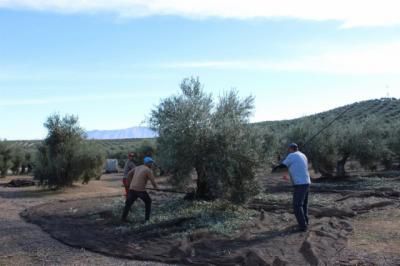 La Seguridad Social pierde 2.370 afiliados en febrero en CLM, casi todos del sector agrario