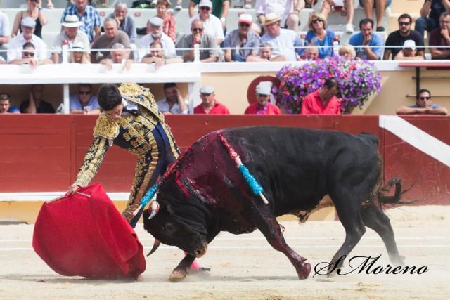 Tomás Rufo vuelve a torear en Francia