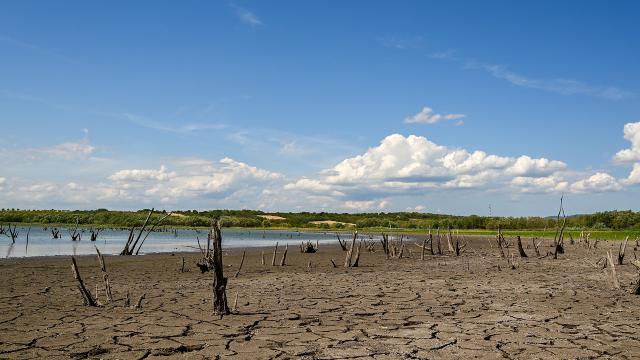 ¿Trasvase del Tajo al Segura sí y del Ebro a Cataluña no?