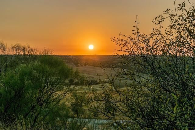 CLM ha abonado este año 57 millones de euros a la agricultura ecológica