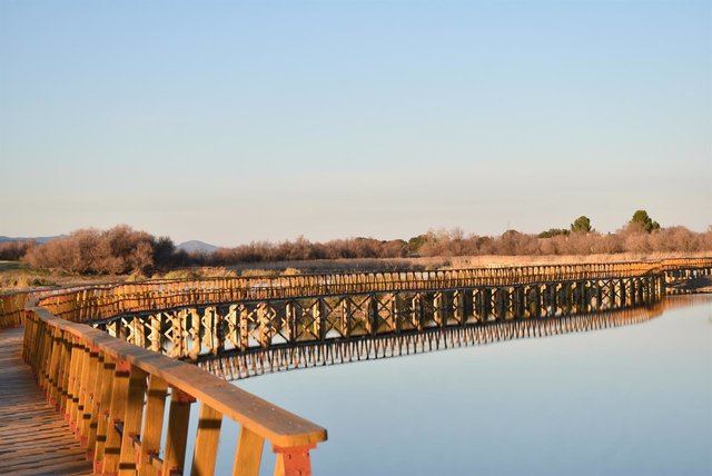 García-Page anuncia un acuerdo histórico para proteger las Tablas de Daimiel