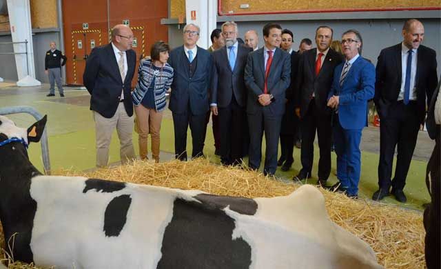 Inaugurado el II Open de Ganado Frisón de Talavera de la Reina