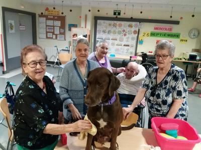 Cerca de 250 personas mayores han participado en el programa de Terapia Asistida con Perros