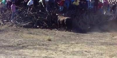 Un joven muere tras ser corneado por un toro en los encierros del Campo de Valfermoso de Tajuña