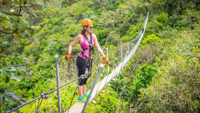 Imagen de 'Toro Verde Puerto Rico'