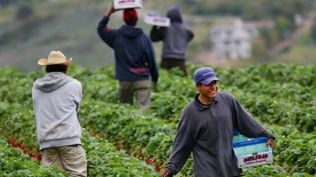 CCOO, contra la explotación laboral extrema en el campo