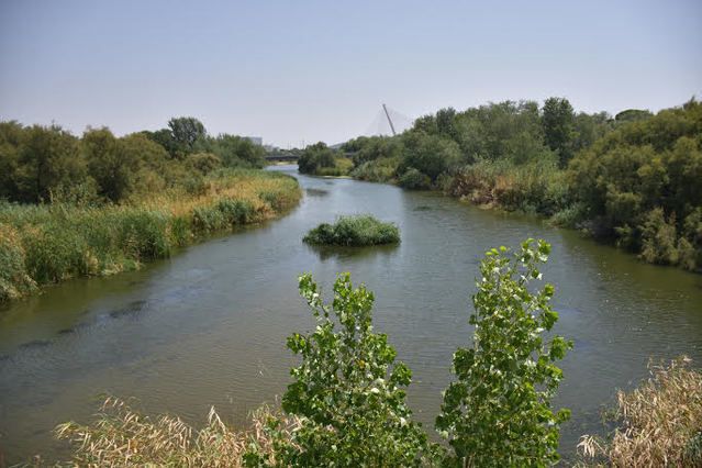 Río Tajo en agosto