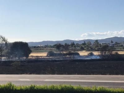 Extinguido el incendio forestal declarado en Pepino