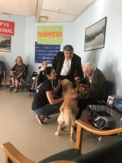 La Residencia de Mayores 'Virgen del Prado’ de Talavera participa en el Programa de Terapia Asistida con Perros