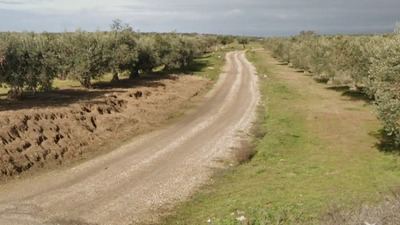 Tragedia en un pueblo de Toledo: Muere un hombre atrapado en un tractor