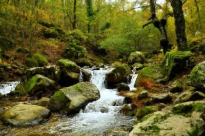 IDEAS PARA UN DESCONFINAMIENTO RURAL | Valle del Jerte: más allá del cerezo en flor