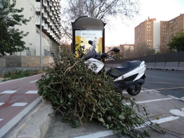 Aviso amarillo por viento en toda la región