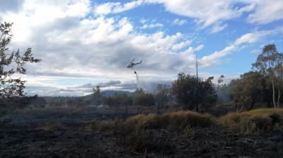 Declarado un incendio en el vivero de la CHT en el embalse de Cazalegas