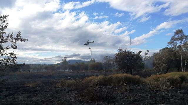 Declarado un incendio en el vivero de la CHT en el embalse de Cazalegas