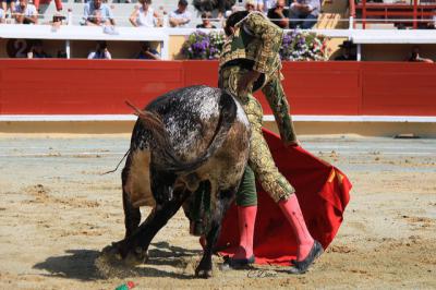 Tomás Rufo dejará de ser novillero esta tarde en El Casar