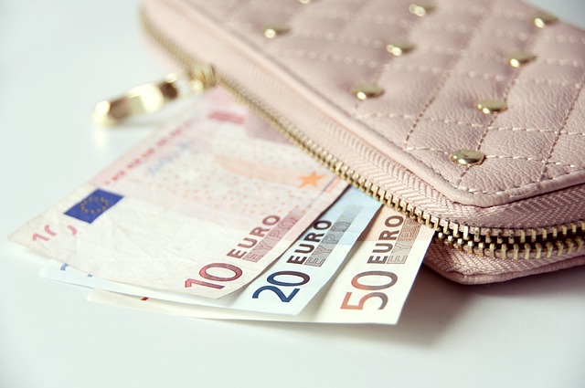 Cartera con euros / Foto: Pixabay