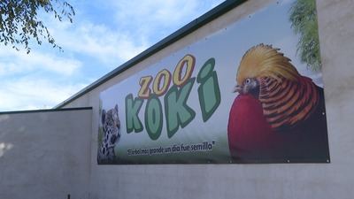 Zoo Koki: Un oasis de biodiversidad en Toledo con más de 150 especies y un fuerte compromiso social