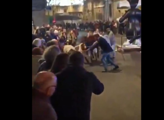 Pánico en la Cabalgata de Reyes de Arenas de San Pedro: Un herido tras descontrolarse unos bueyes por la pirotecnia