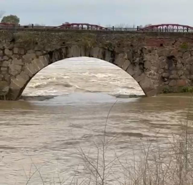 El Tajo, estabilizado pero con alto caudal, sigue bajo vigilancia