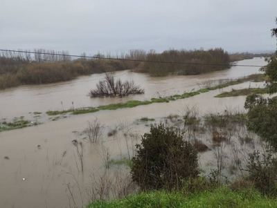 El Tajo sigue sin variaciones este viernes a su paso por Talavera 