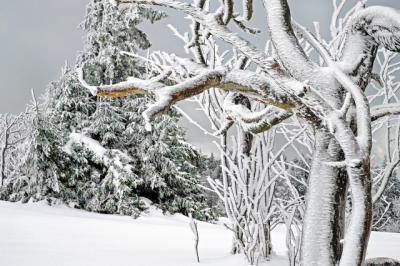 Alerta por frío y nieve este sábado en Castilla-La Mancha: estos son los lugares